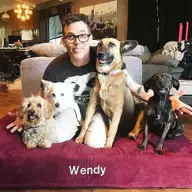 Steve-O